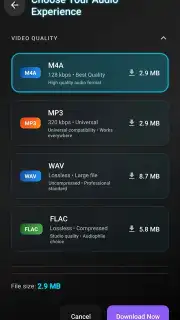 VidCombo: All Video Downloader скриншот 6