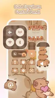 iControl скриншот 6