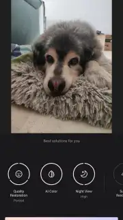 Wink скриншот 12