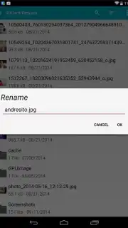 Sliding Explorer скриншот 4