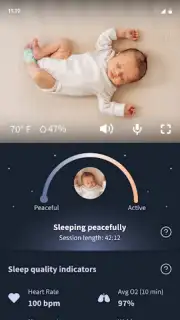 Owlet Dream скриншот 8