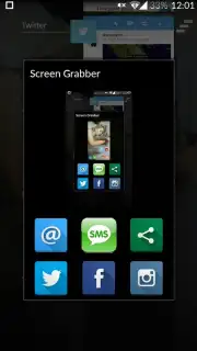 Screen Grabber скриншот 1