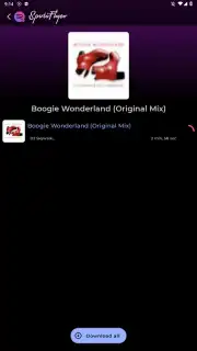 SpotiFlyer скриншот 5