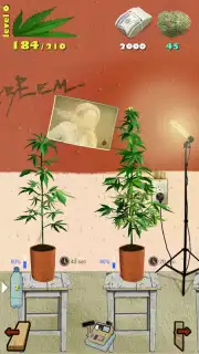 Weed Firm: RePlanted скриншот 6