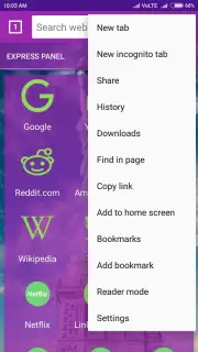 usa web browser скриншот 2
