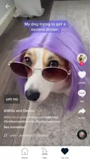 Downloader for TikTok скриншот 2
