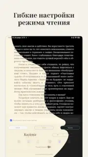 Bookmate. Books & Audiobooks скриншот 6