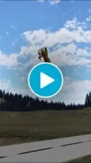 PicaSim Free скриншот 1