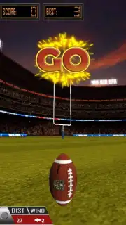 3D Flick Field Goal скриншот 5