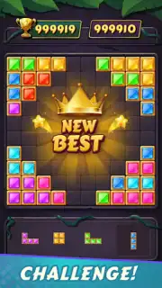 Block Puzzle скриншот 12