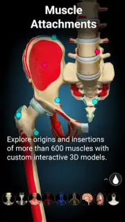 3D Anatomy Learning скриншот 2