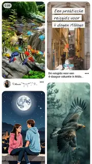 Pinterest скриншот 1