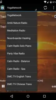 The Reiki Channel скриншот 2