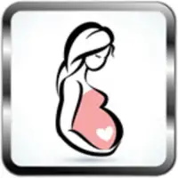 Pregnancy Weekly
