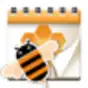Date Widget