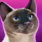 CatHotel